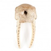 VINTAGE PAIR OF WALRUS TUSKS W