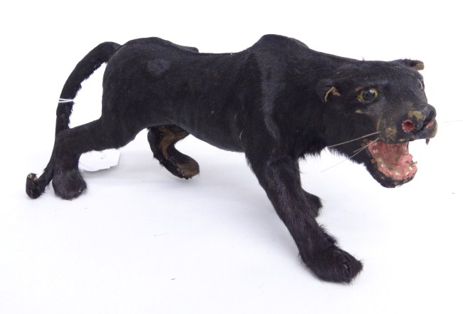 Vintage panther model. 13'' Length.