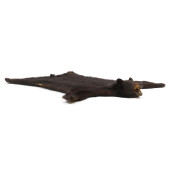 VINTAGE WALL MOUNT BLACK BEAR