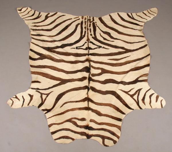 Vintage zebra skin hide rug. 80"L x