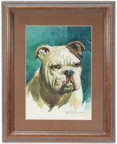 VIRGIL E. PYLES ENGLISH BULLDO