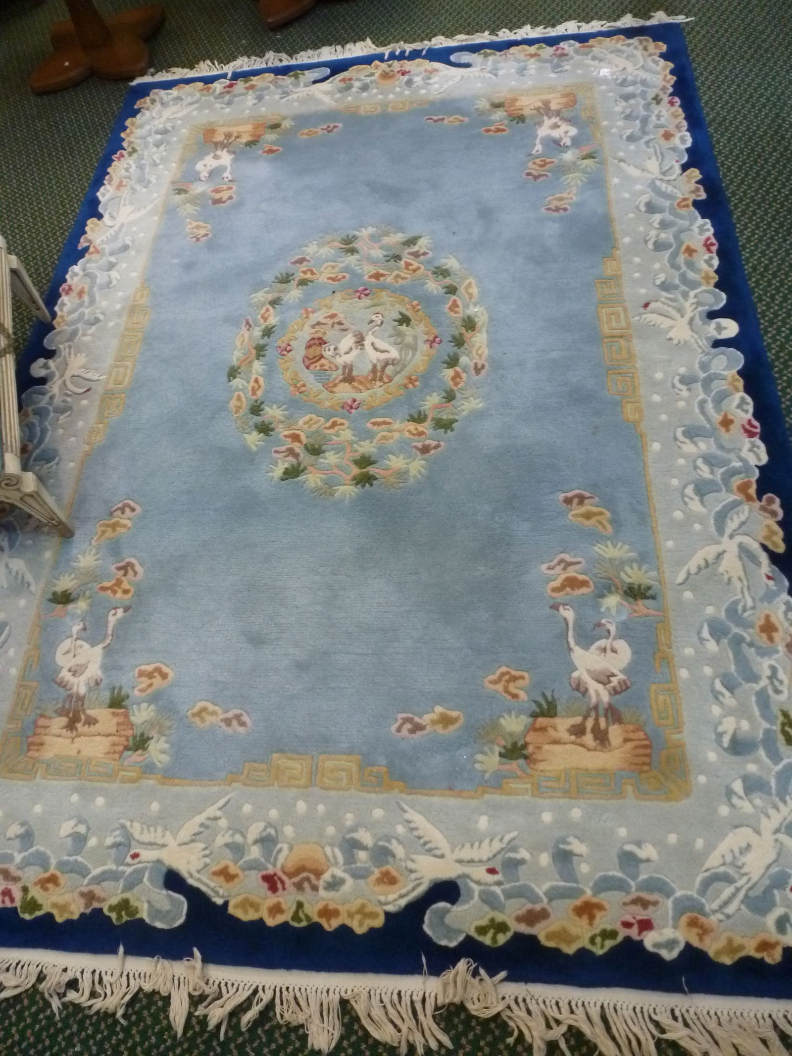 VIRGIN WOOL PICTORIAL BIRD THEMED