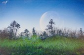 Vitali Prokopenko ''Quiet Moon