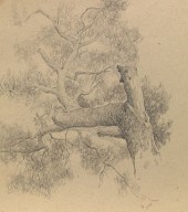 VITALLY GRIGORYEV (RUSSIAN, B.