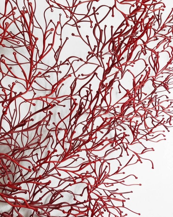 VITRA ALGUE RONAN & ERWAN