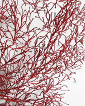 VITRA ALGUE RONAN & ERWAN BOUR