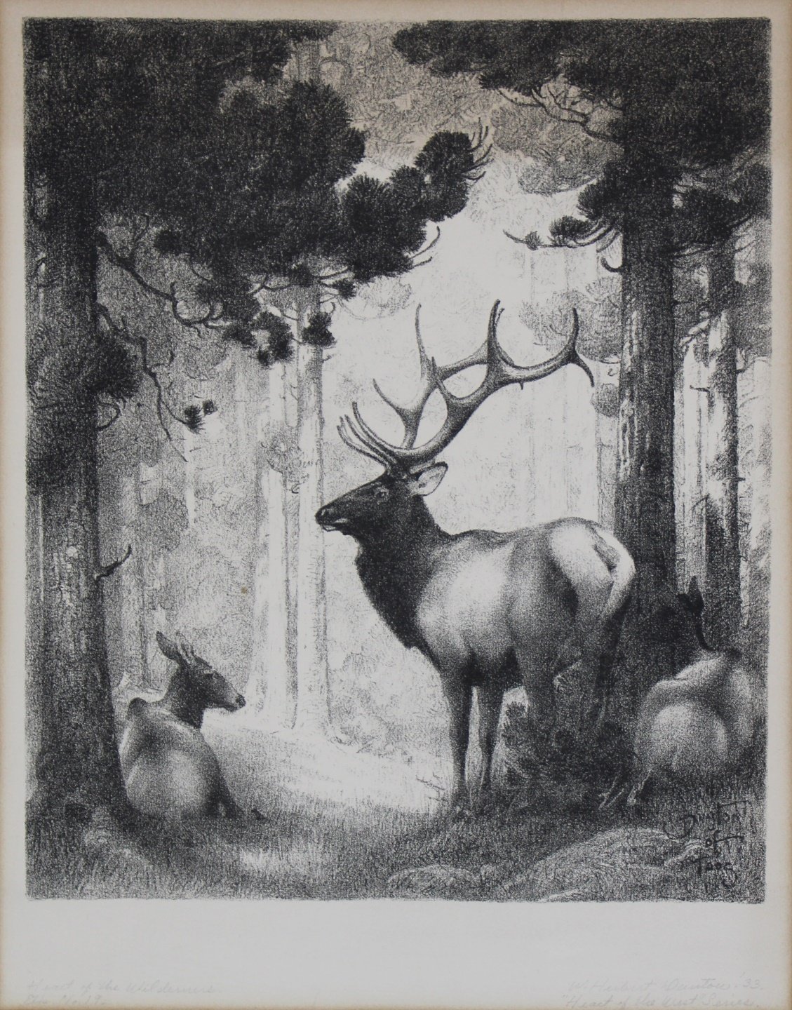 W. HERBERT (BUCK) DUNTON