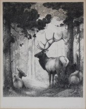 W. HERBERT (BUCK) DUNTON (AMER