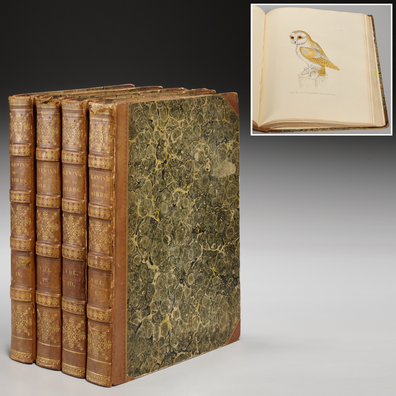 W. LEWIN, BIRDS OF GREAT BRITAIN,