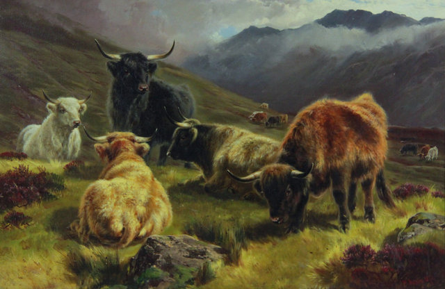 W WatsonHIGHLAND CATTLEdated