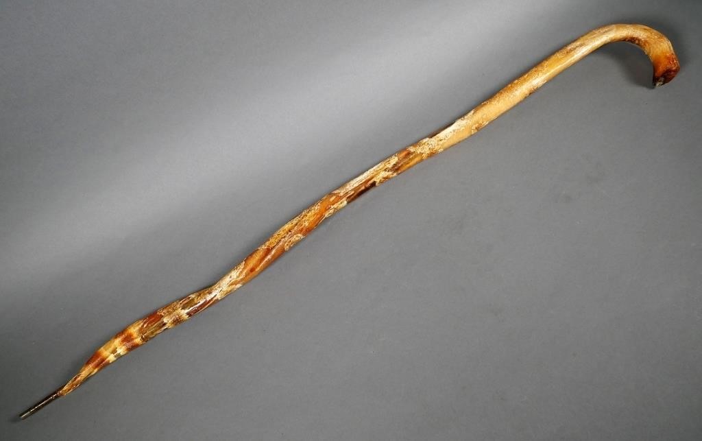 WALKING STICK: BULL MALE MEMBER
