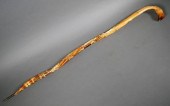 WALKING STICK: BULL MALE MEMBE