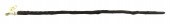 WALKING STICK OR CANE WITH STE