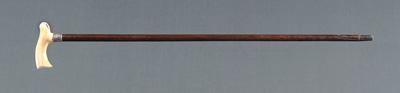 Walking stick, two handles: walking