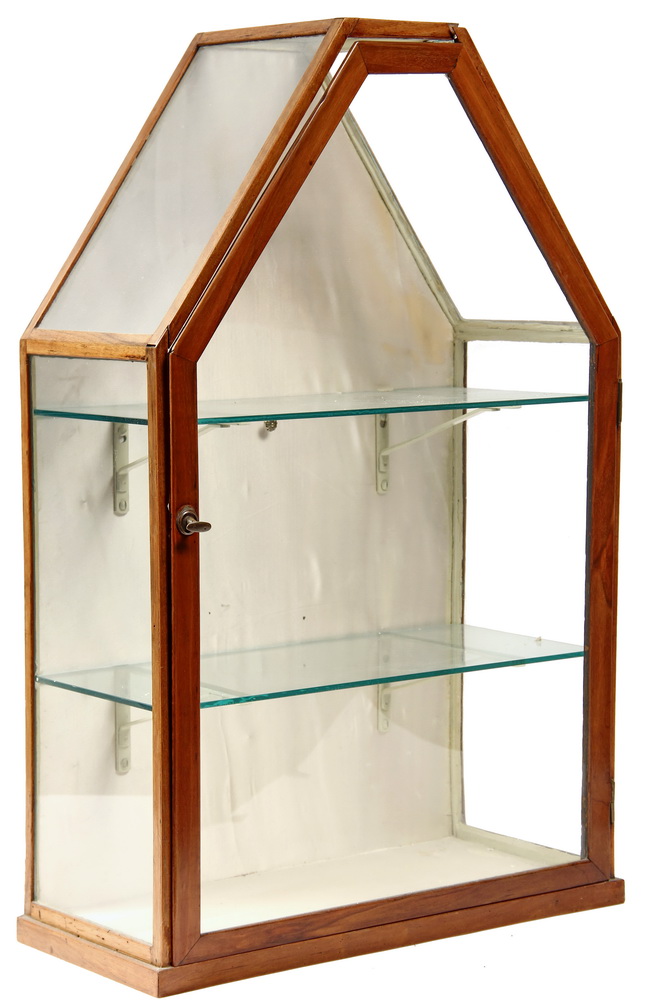 WALL MOUNT VITRINE - 19th c English