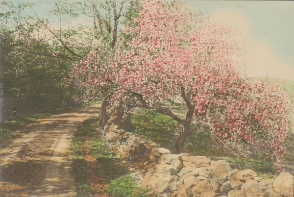 Wallace Nutting (American,