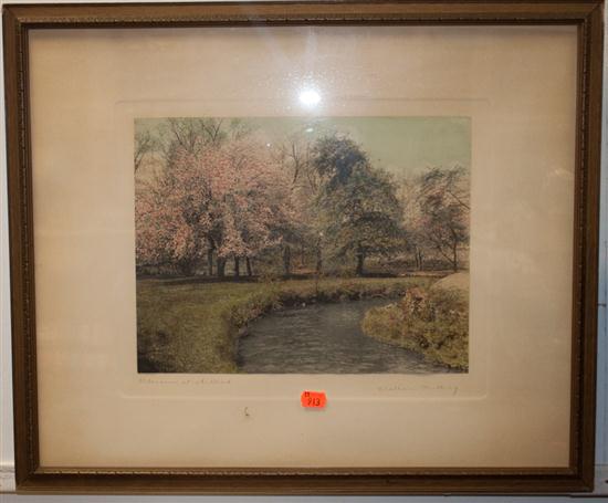 Wallace Nutting. ''Blossoms at