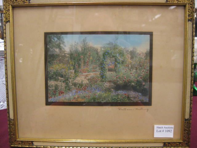 Wallace Nutting Print of a Flower