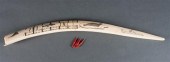 Walrus ivory scrimshaw cribbag