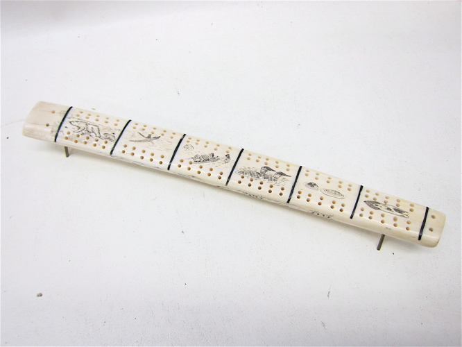 WALRUS IVORY SCRIMSHAWED CRIBBAGE