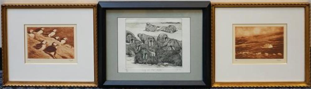WALRUS, LANDSCAPE AND PUFFIN, THREE