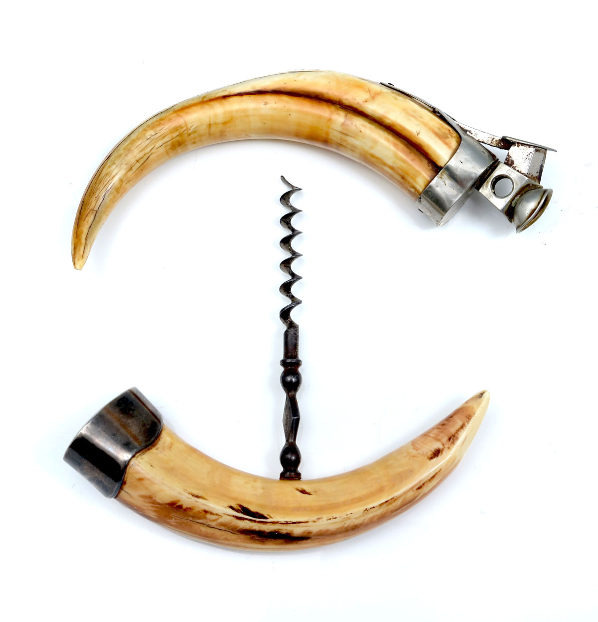 WALRUS TUSK CIGAR CUTTER &