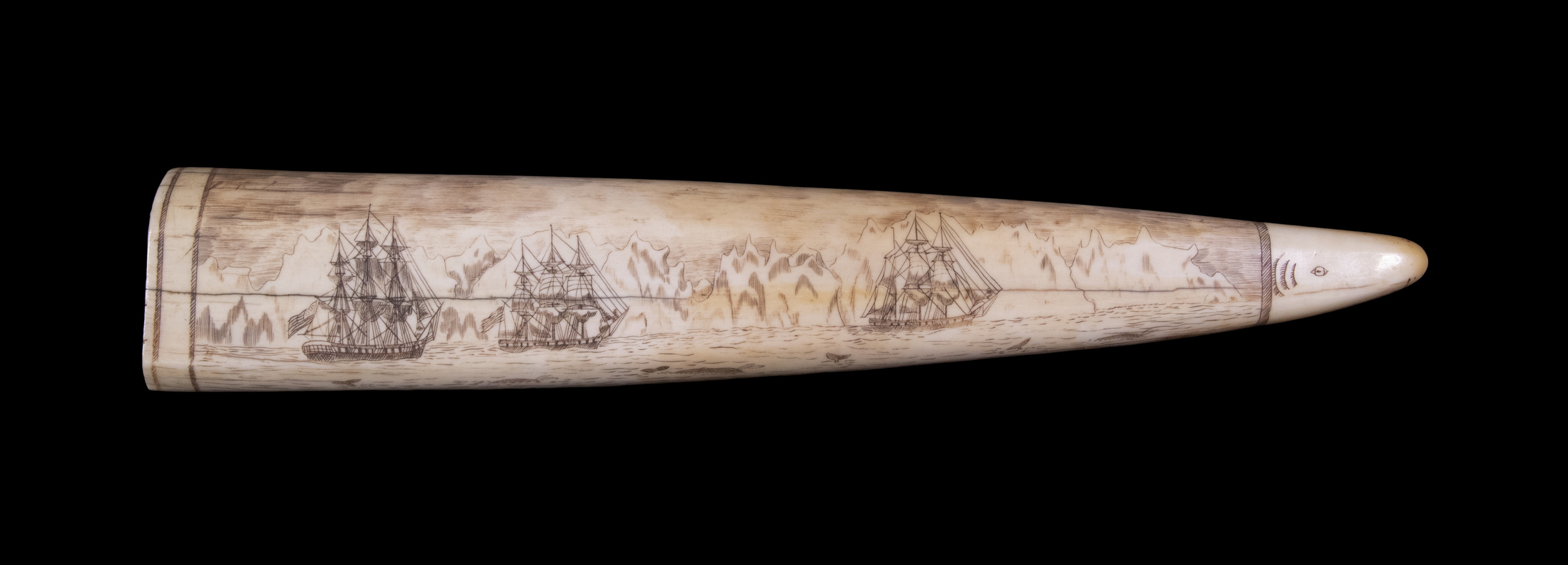 WALRUS TUSK SCRIMSHAW, NORTH