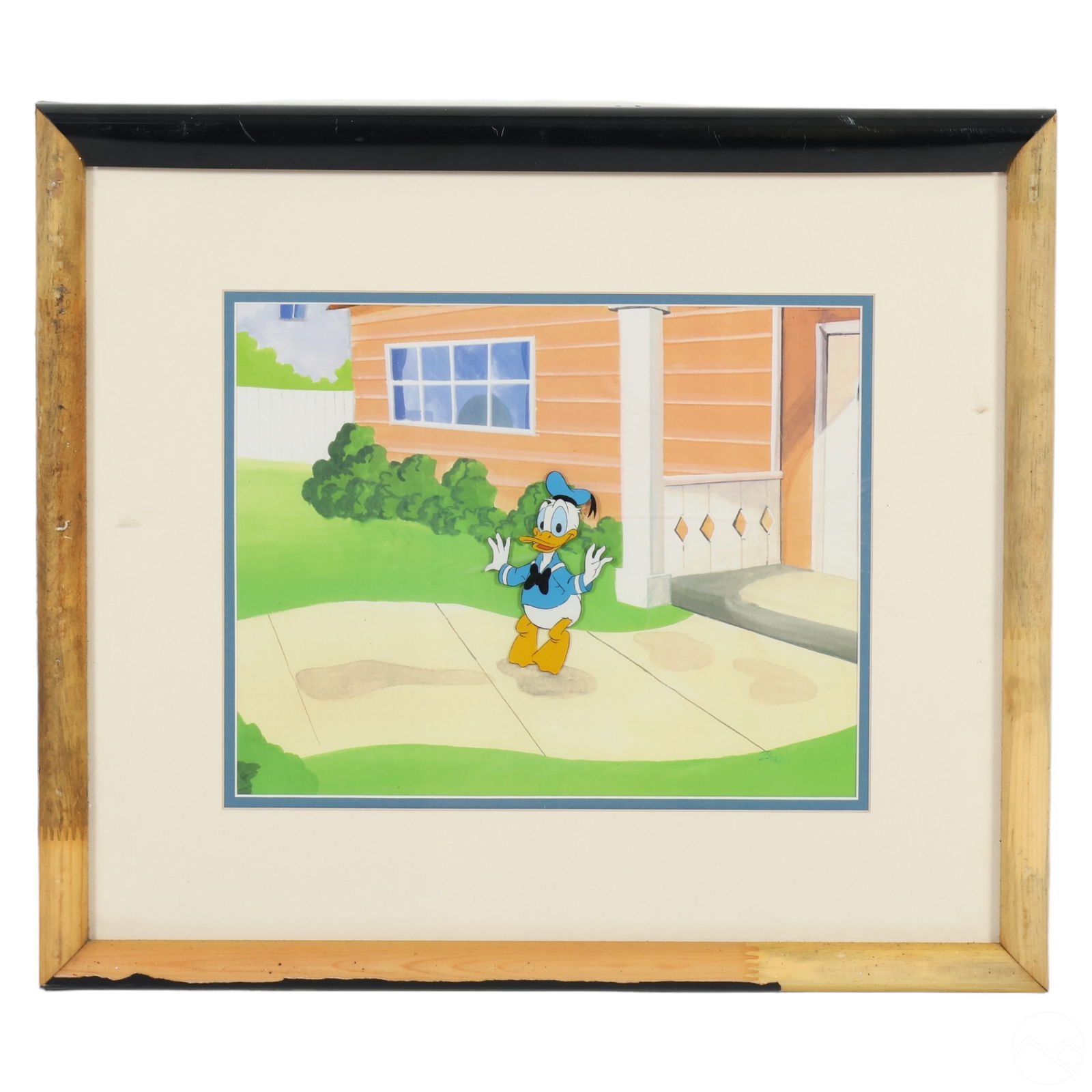 WALT DISNEY DONALD DUCK COLOR