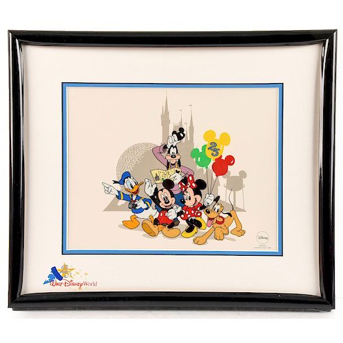 WALT DISNEY WORLD FRAMED LIMITED