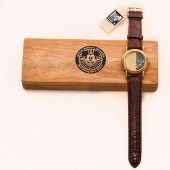 WALT DISNEY WORLD OFFICIAL DIS