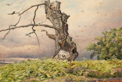 Walter Fryer Stocks (1842-1915)/The