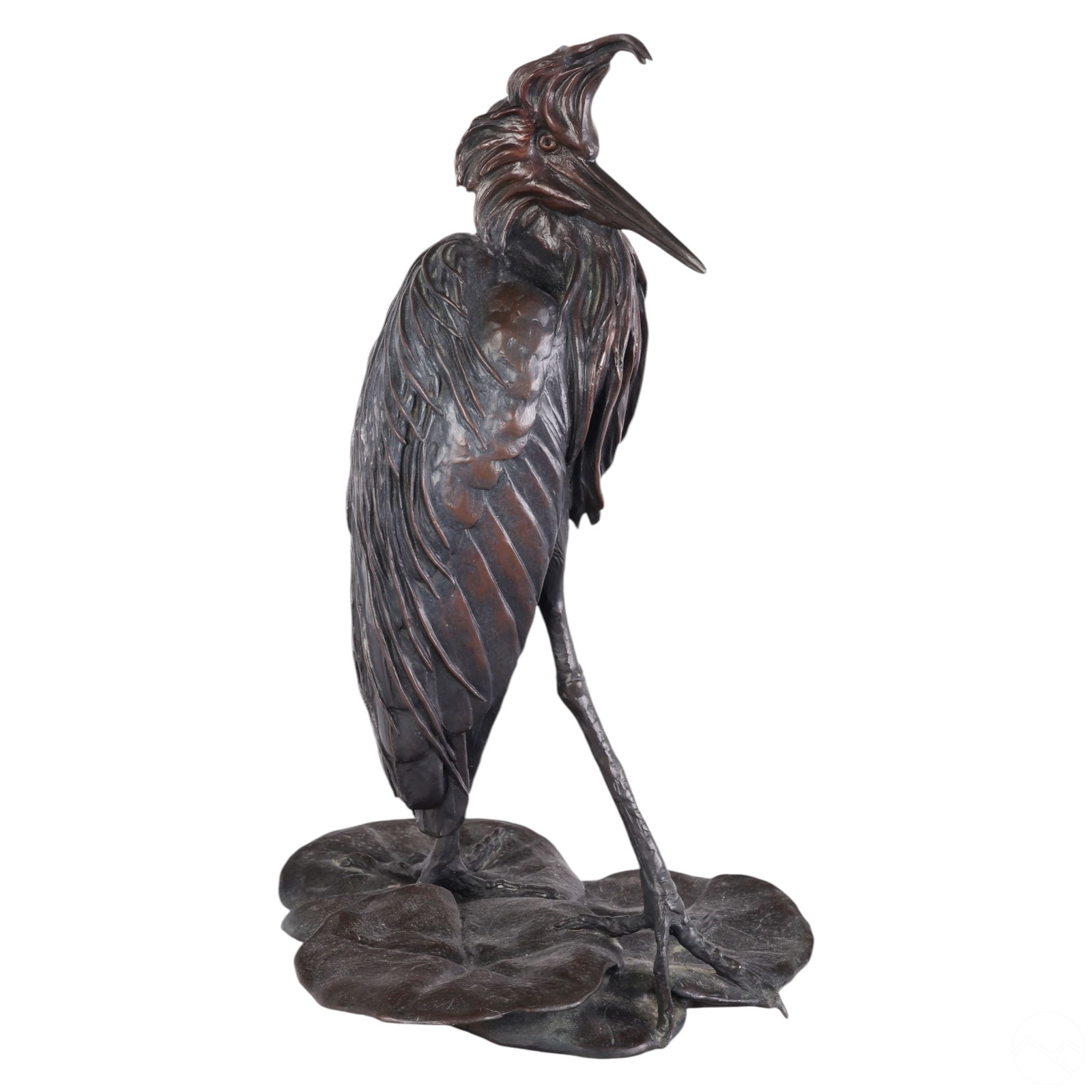 WALTER MATIA B.1953 REDDISH EGRET