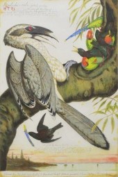 WALTON FORD (B.1960) 'SWADESHI