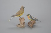 WARBLER AND CEDAR WAXWINGPeter