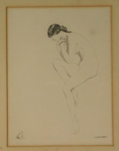 WARREN DAVIS THE FROG FEMALE N