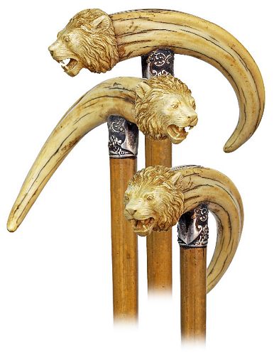 WARTHOG TUSK LION CANECa.