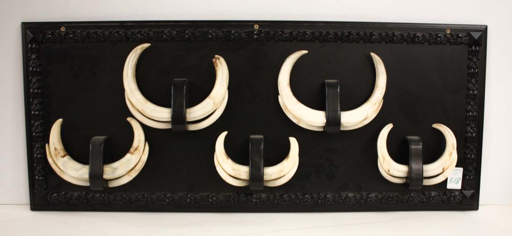 WARTHOG TUSKS WALL PLAQUE,