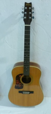 WASHBURN D-5 APPRENTICE 6 STRI