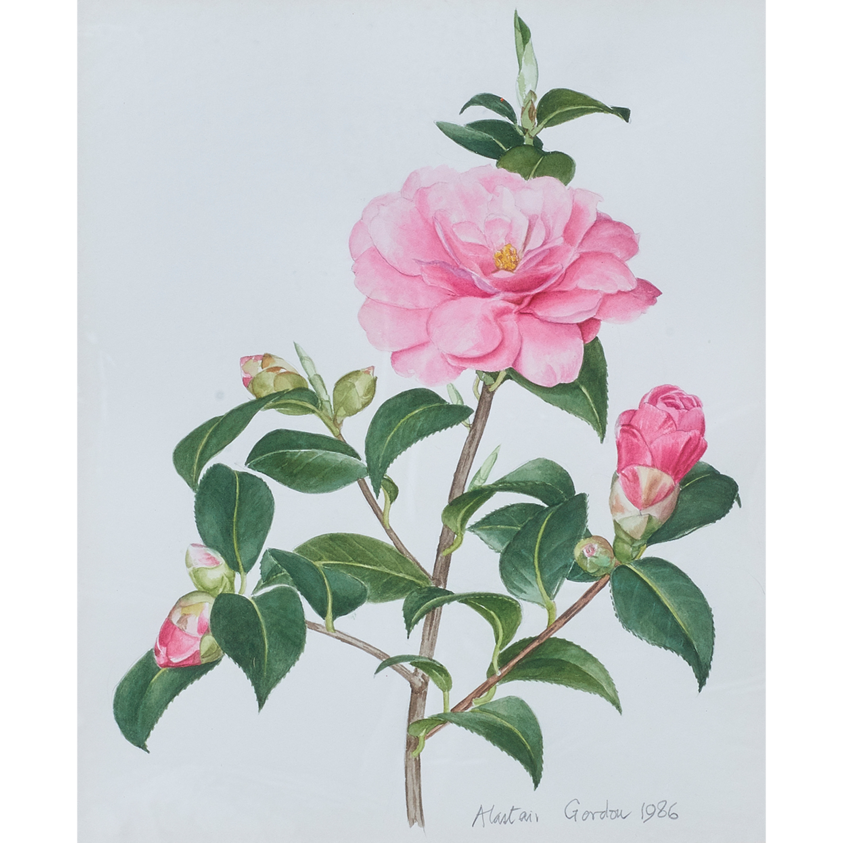 WATERCOLOR, ALASTAIR GORDON
