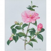 WATERCOLOR, ALASTAIR GORDON Al