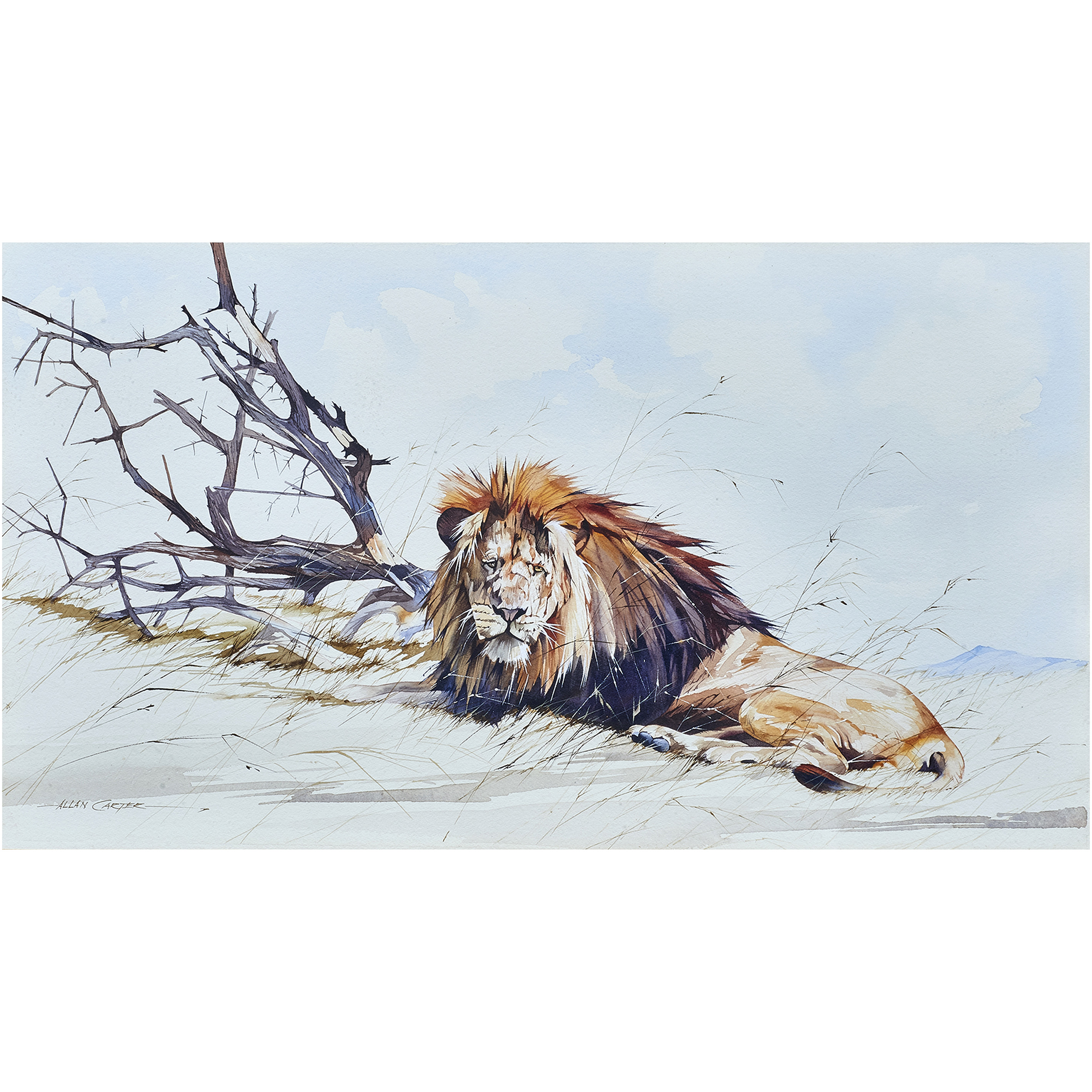 WATERCOLOR, ALLAN CARTER Allan