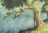 WATERCOLOR, DONALD TEAGUE Dona