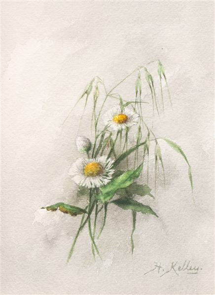 Watercolor, H. Kelley,