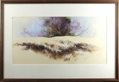 WATERCOLOR, MIGUEL DOMINGUEZ M