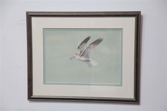 WATERCOLOR OF A BIRD BY CONRAD