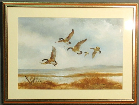 Watercolor painting of a Delaware