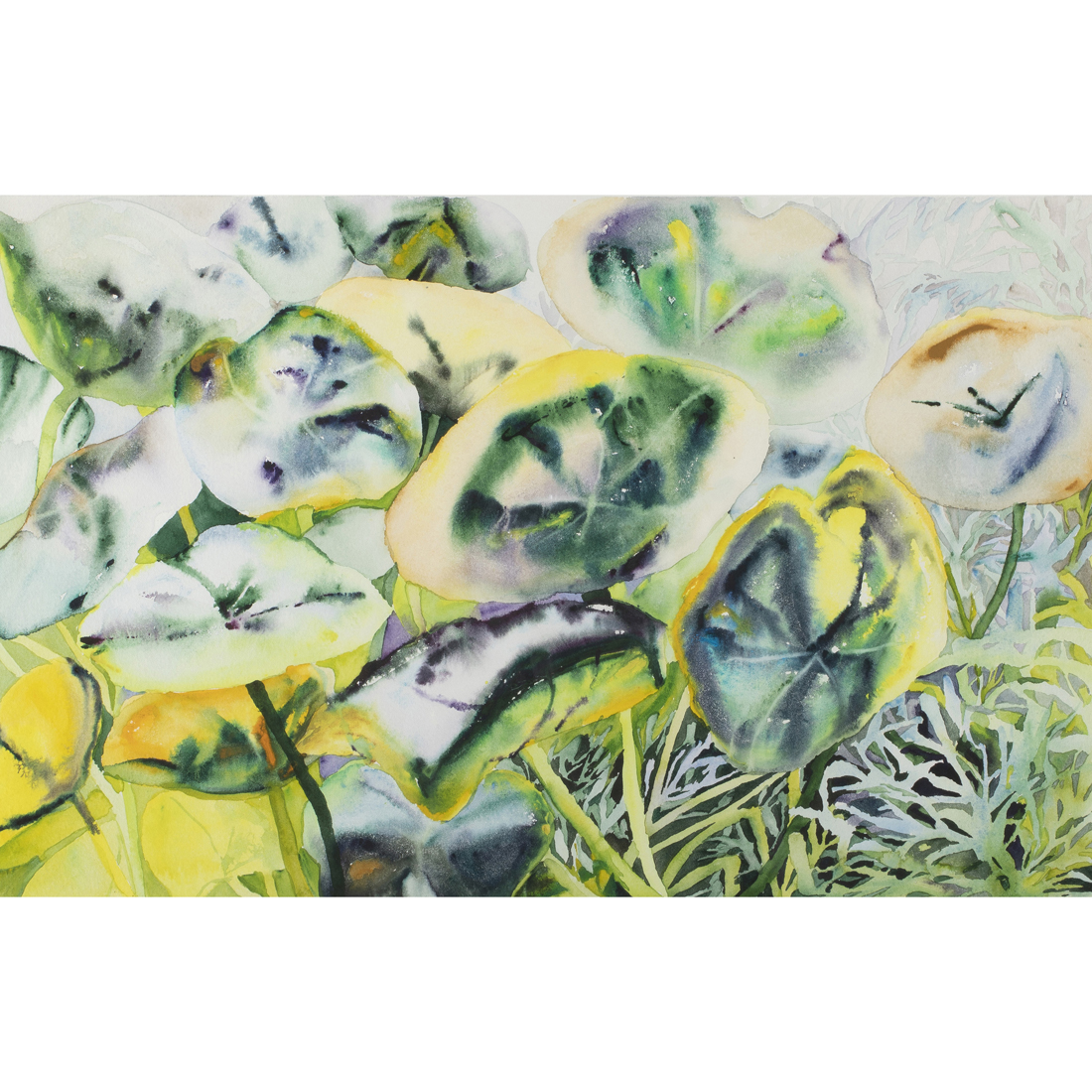 WATERCOLOR, PATRICIA TOBACCO