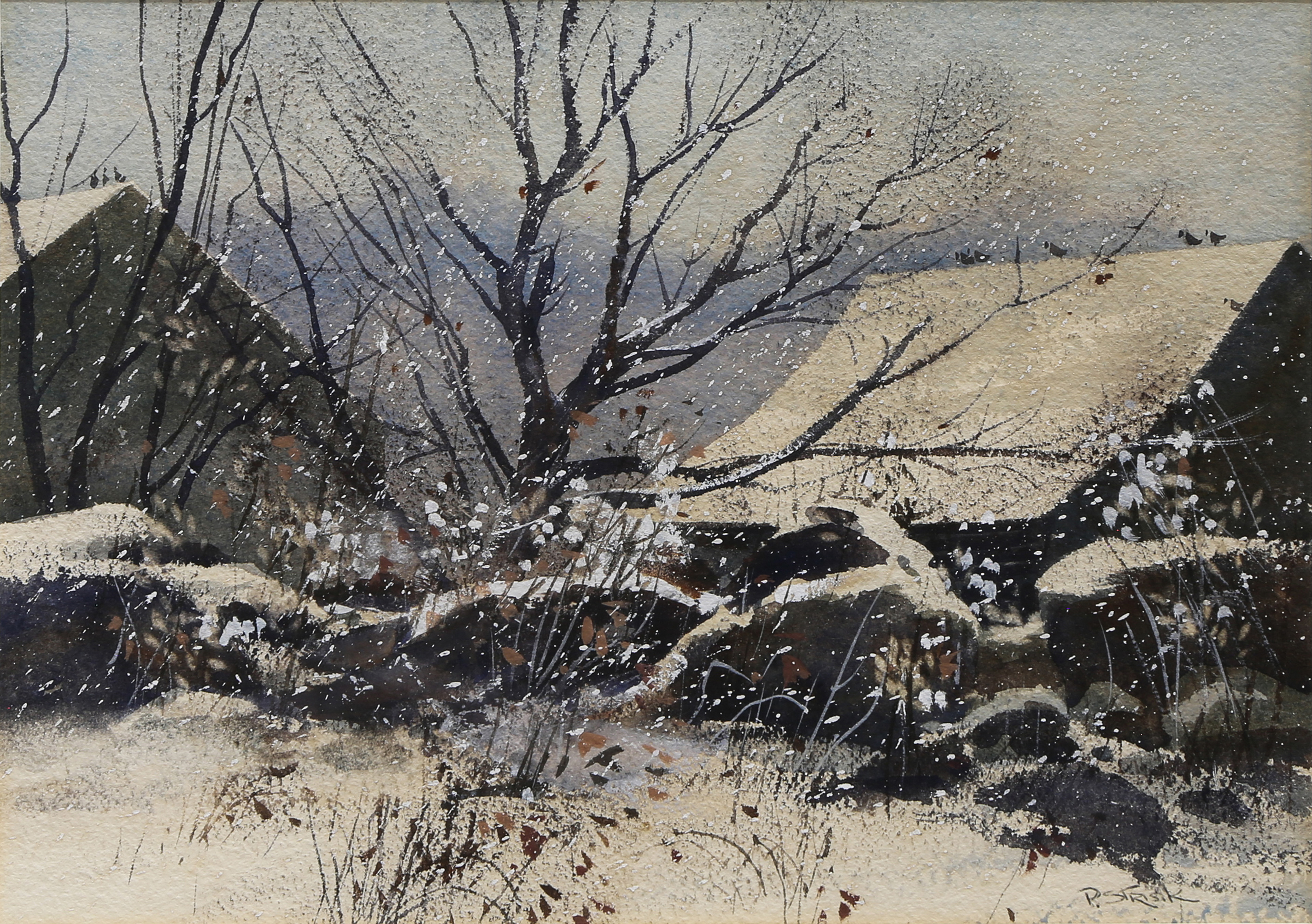 WATERCOLOR, PAUL STRISIK Paul