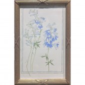 WATERCOLOR, WILLIAM GOLDSMITH