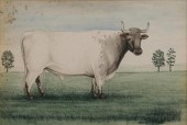 WATERCOLOUR OF A BULL IN PASTU
